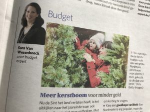 Meer kerstboom voor minder geld - budgettips van expert Sara Van Wesenbeeck - www.barkingdogs.be