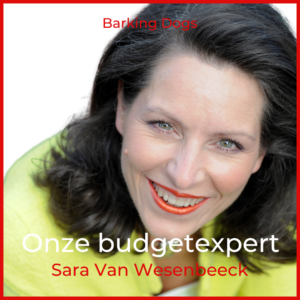 Wat doe je met extra geld, bijvoorbeeld door opslag? Budgetexpert Sara Van Wesenbeeck geeft advies in Het Nieuwsblad - www.mijnportemonnee.be